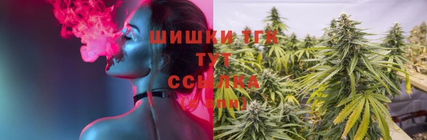 сатива Абаза