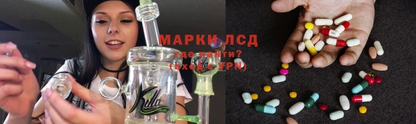 сатива Абаза