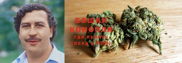 сатива Абаза